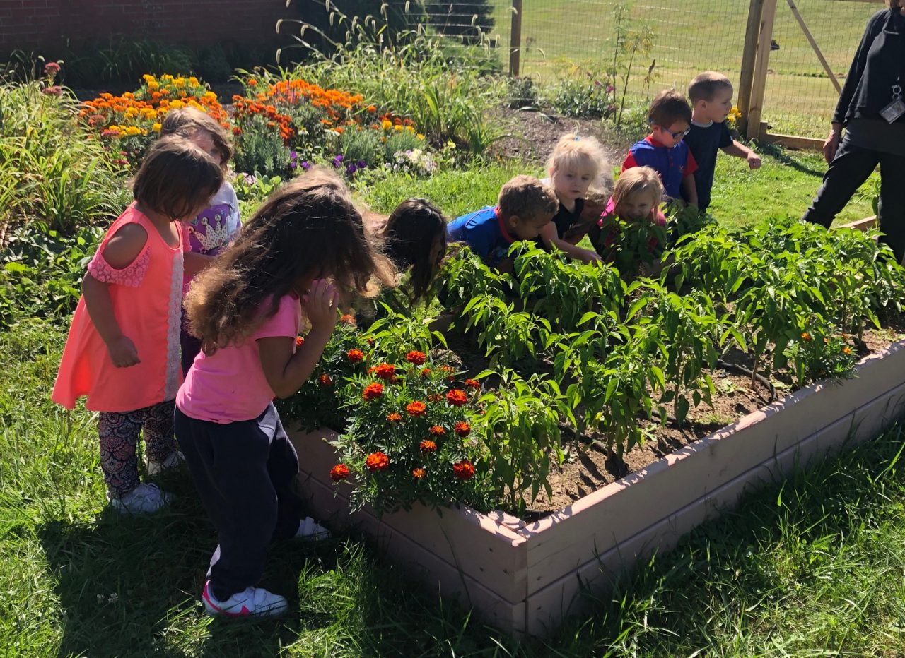 LCCAP Garden Awarded Grant